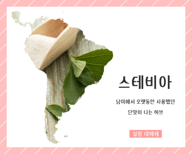 우리집 설탕 대체제 스테비아, 과연 안전한것일까요? 대표 이미지